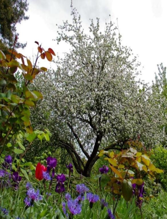 Le Grand Jardin Bed & Breakfast Beaune  Exterior photo
